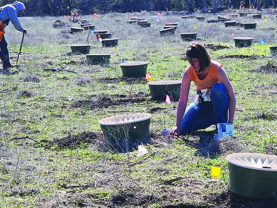 TreeFolks plants 2,000 native trees at Jacob's Well