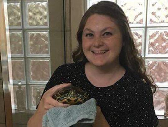 Turtle survives worst of fire in San Marcos, reunited with owner