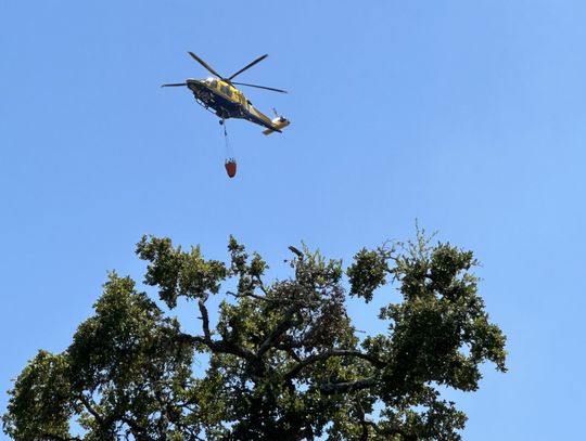 UPDATED: Wildfire burns more than 40 acres in Buda