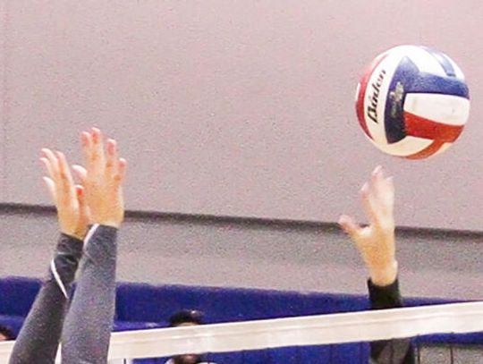 Volleyball complex seen as boon for Buda, local athletes