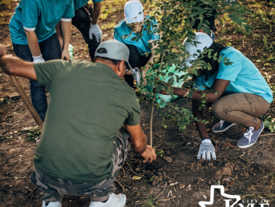 Volunteers needed to plant trees in Kyle parks 