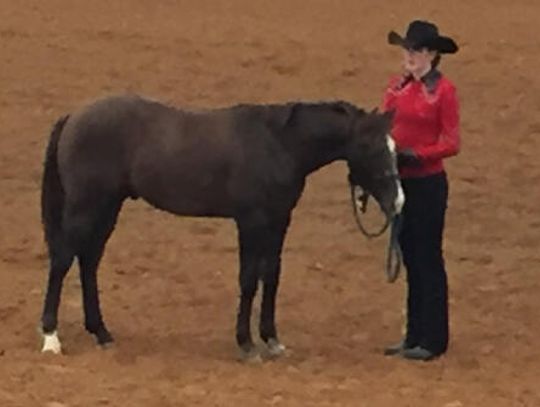 WHS student earns participation in unique horsemanship program