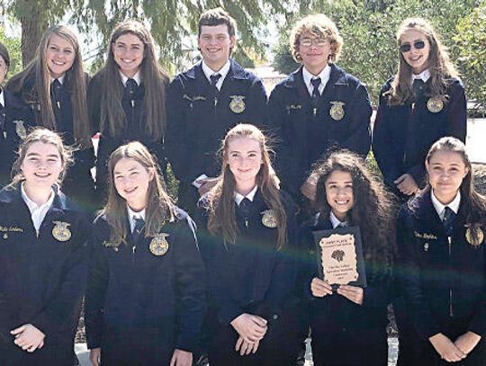 Wimberley FFA raising money for convention with plant sale