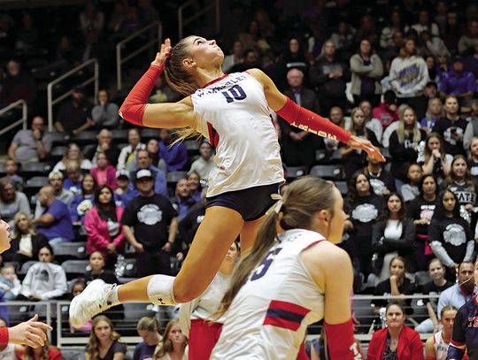 Wimberley Lady Texans now State champions