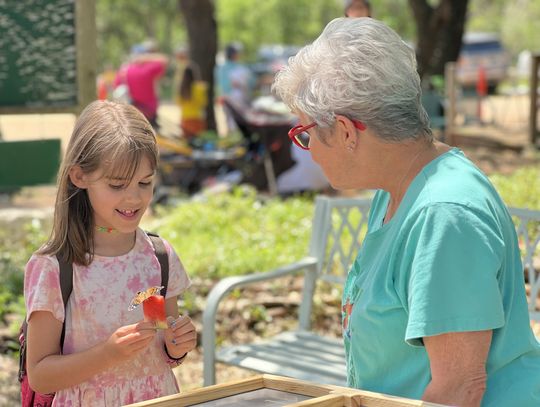 Wimberley's butterflies in bloom