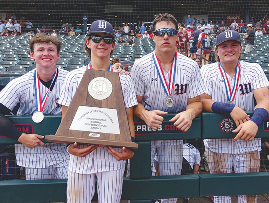 Wimberley Texans baseball claims 4A D2 State Runner-Up title