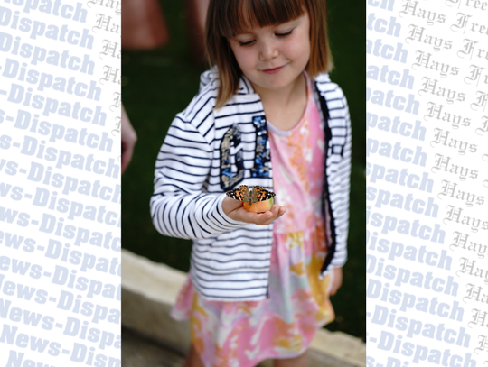 Wings aplenty at EmilyAnn's 26th annual Butterfly Festival