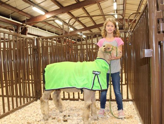 WISD Ag Barn now officially open
