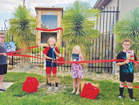 Young Cub Scout builds Little Free Library for Kyle community