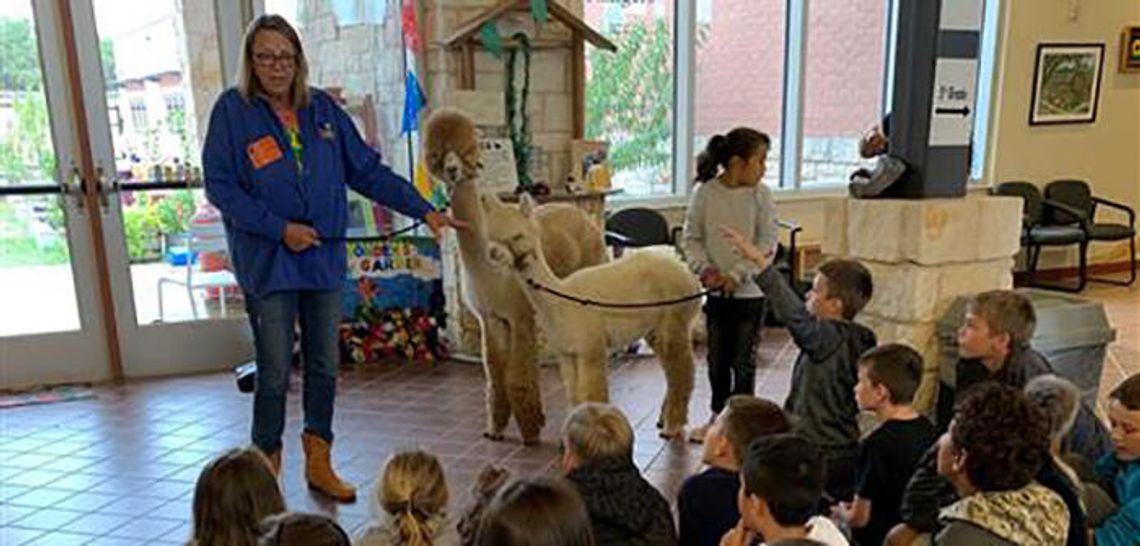 Alpacas visit JWE classrooms