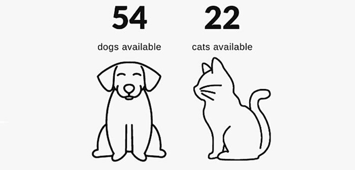 Animal shelter struggles with overcapacity