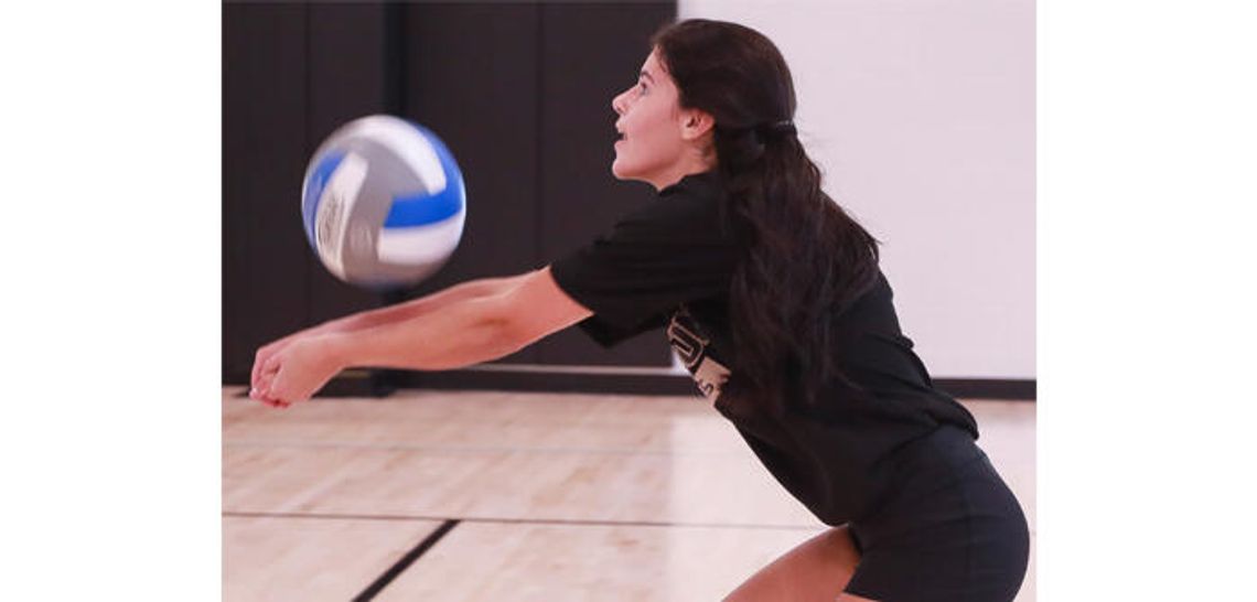 Area athletes get back in the swing of things