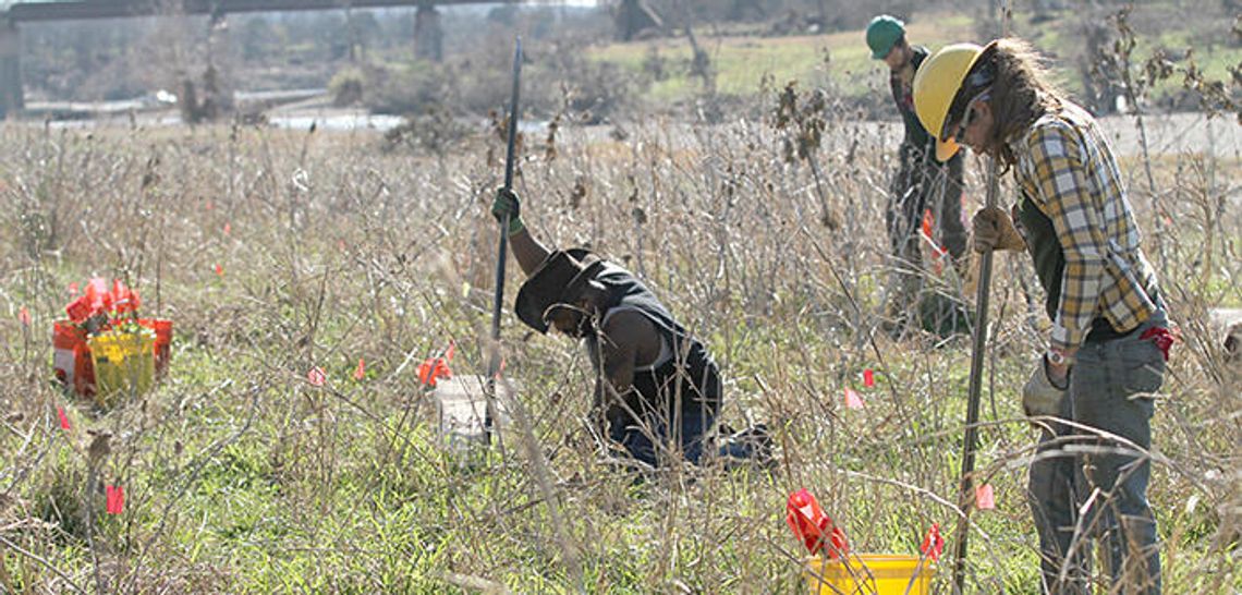Blanco River reforestation OKed to continue