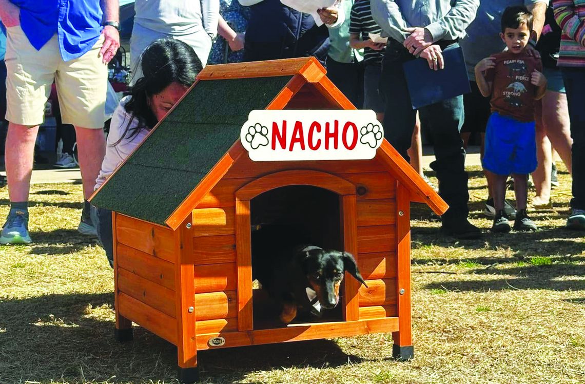 Buda hosts inaugural Ground Dog Day Buda hosts inaugural Ground Dog Day