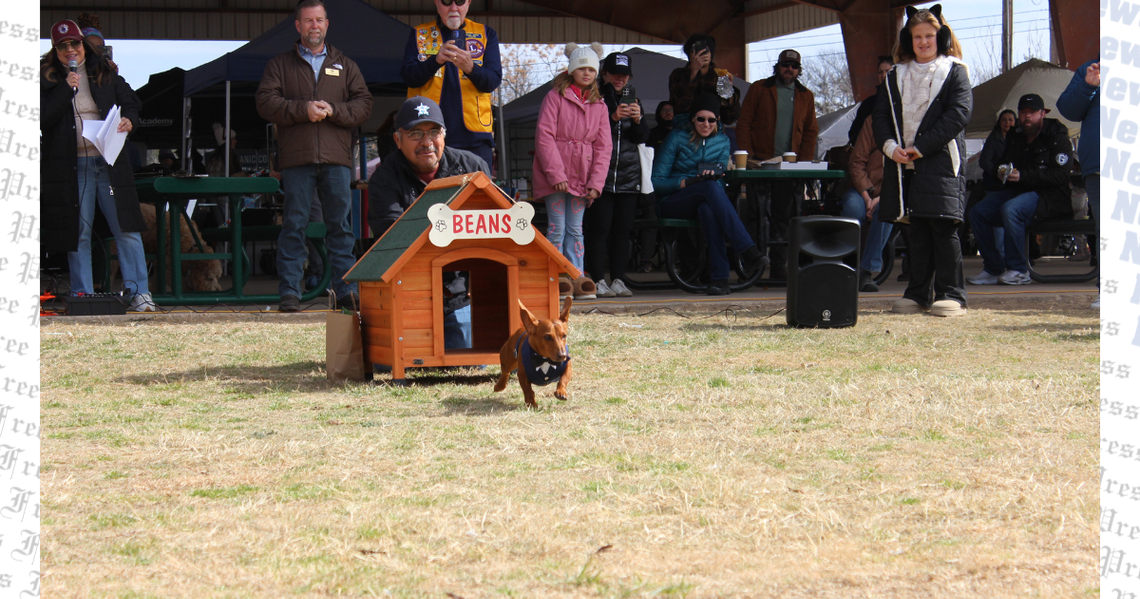 Buda's ground dog predicts early spring