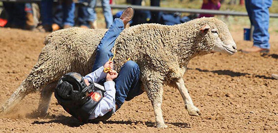 Buda: This IS our first rodeo