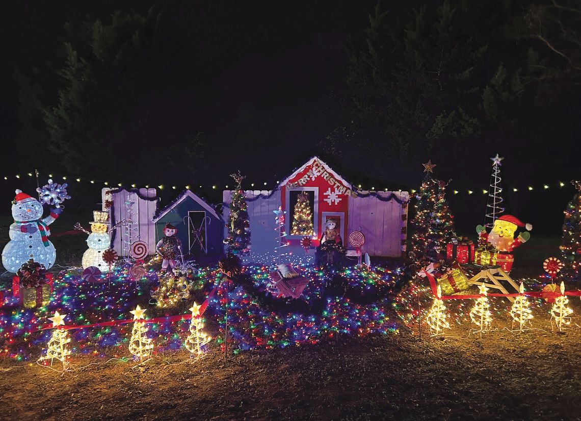 Buda Trail of Lights delights