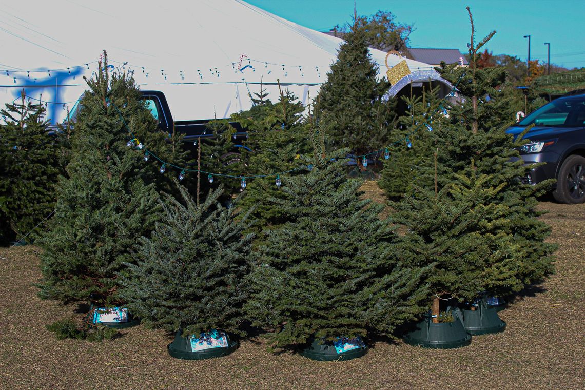 Christmas on Mercer