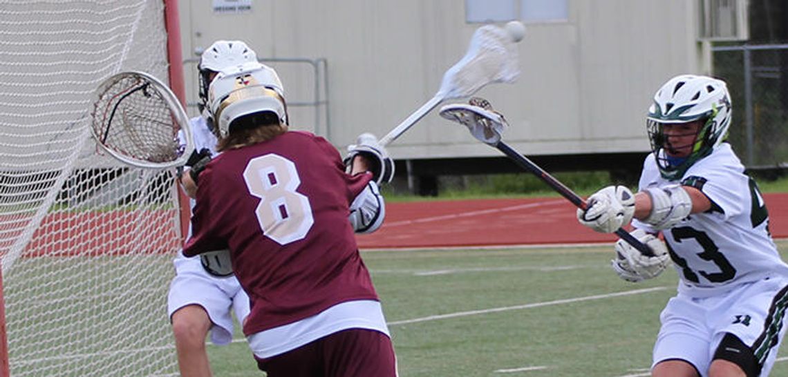 Consecutive wins for Tiger lacrosse