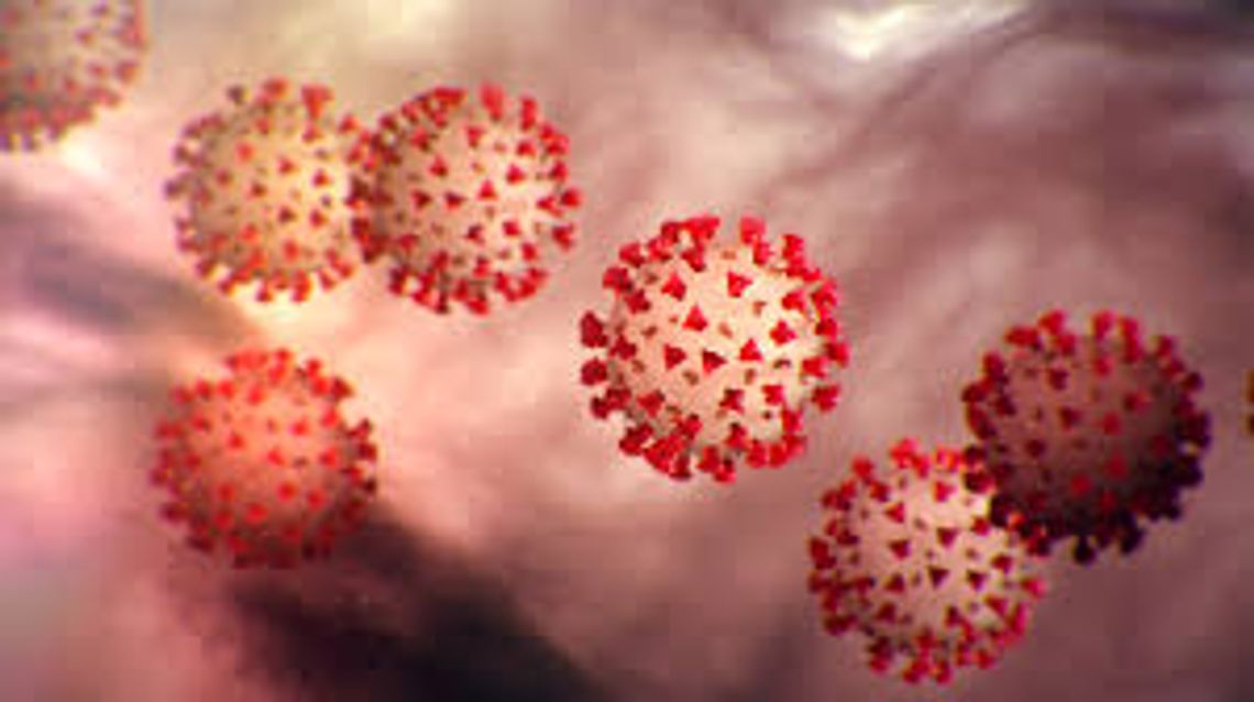 COVID-19 infections rise, Hays County suggest safe holiday gatherings
