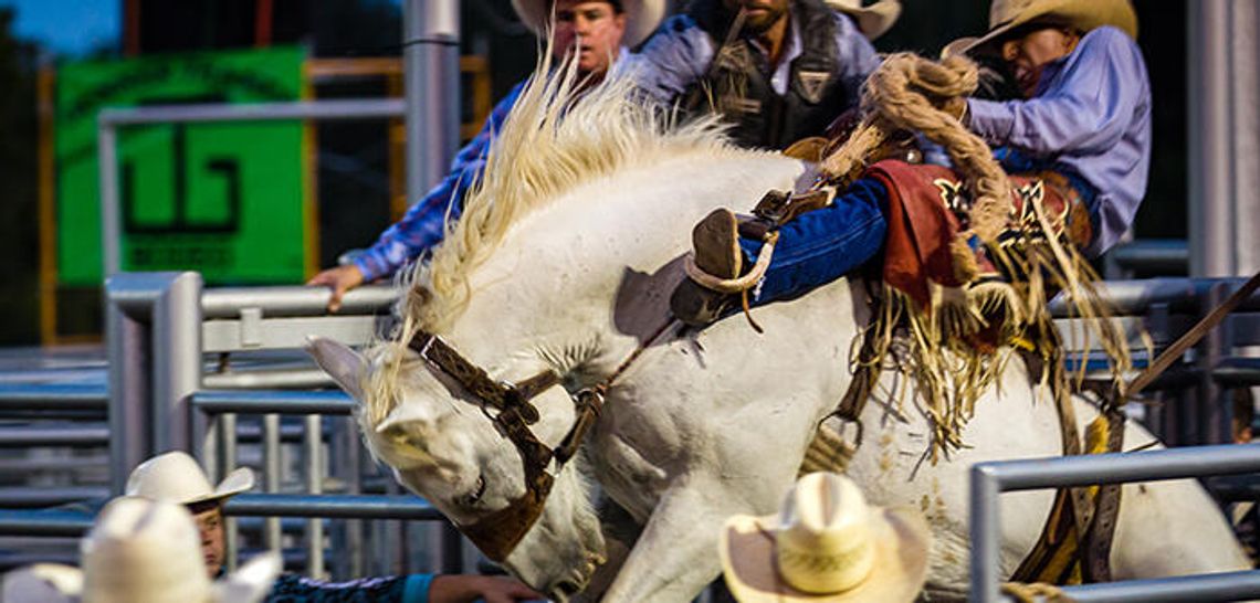 Cowpokes saddle up at annual rodeo