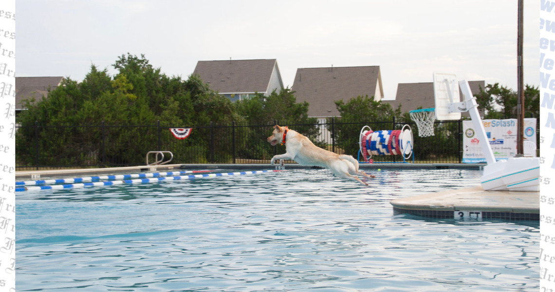 Dripping Springs beats the heat with Puppy Plunge Dripping Springs beats the heat with Puppy Plunge