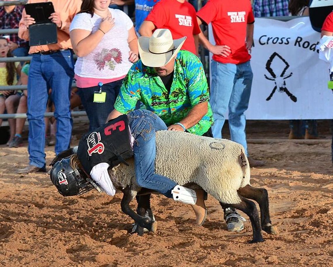 Dripping Springs Fair and Rodeo will commence with some changes 