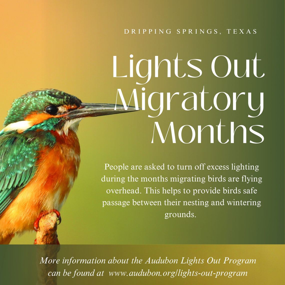 Dripping Springs residents urged to turn off lights for birds Dripping Springs residents urged to turn off lights for birds