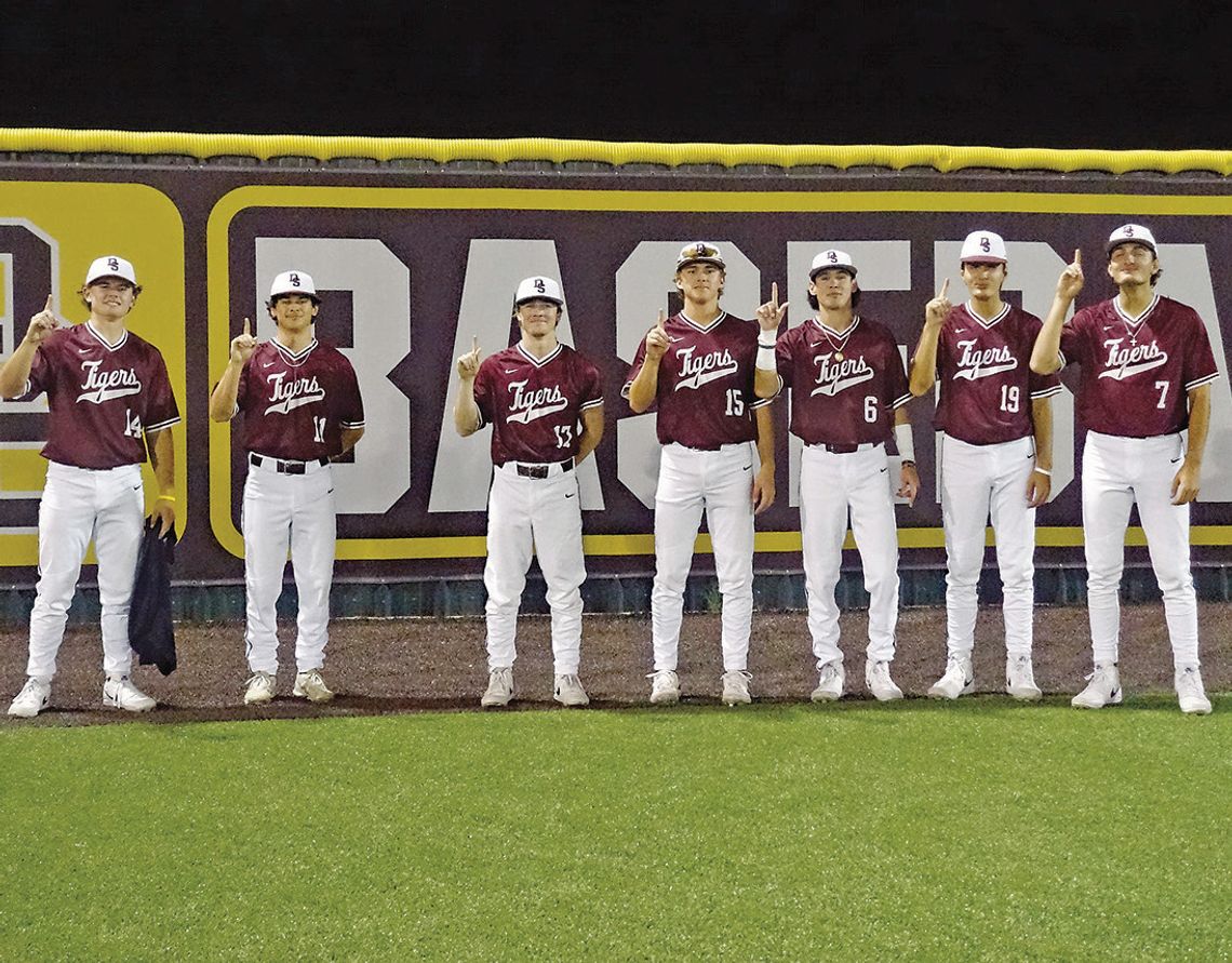 Dripping Springs Tigers pounce on Cardinals Dripping Springs Tigers pounce on Cardinals