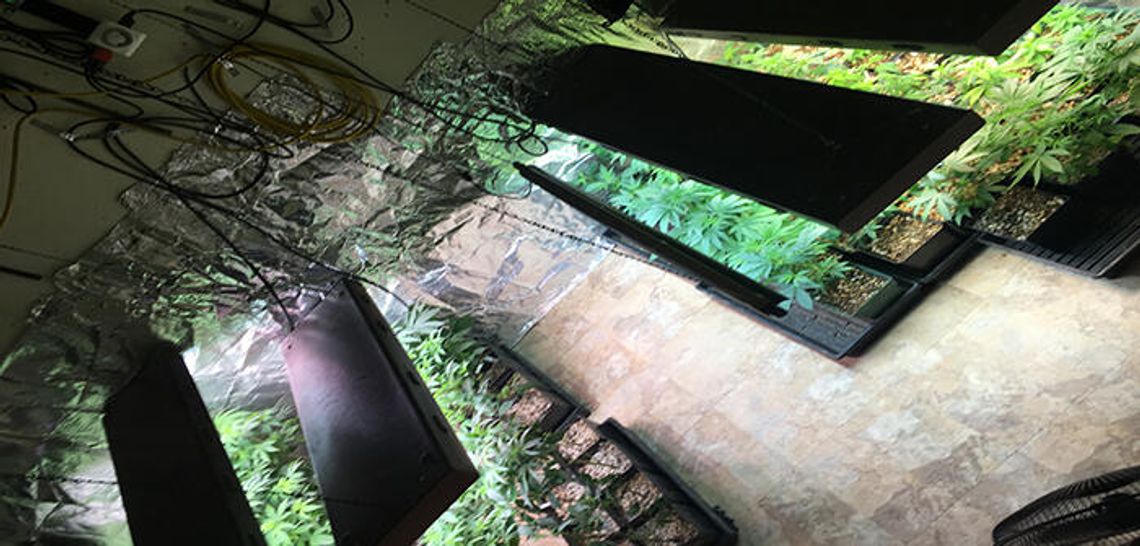 Dripping Springs woman arrested in major narcotics bust