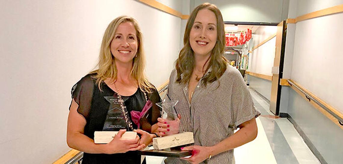 DSISD selects Teachers of the Year