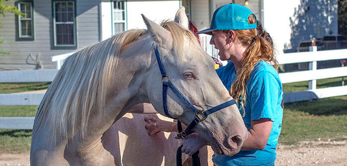 Equine evacuees find haven in Dripping Springs