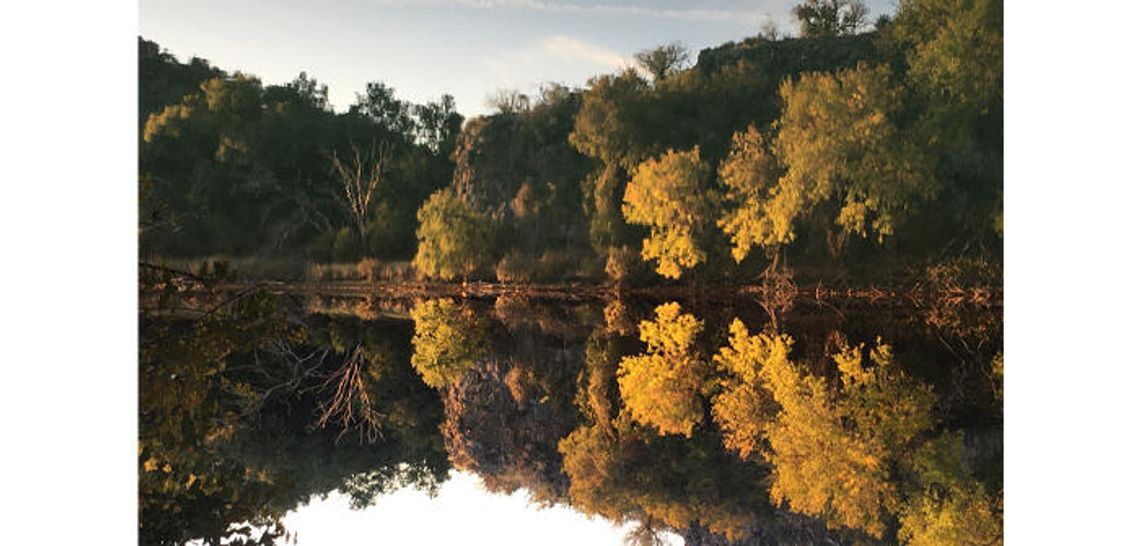 Fall in love with foliage at a Texas State Park