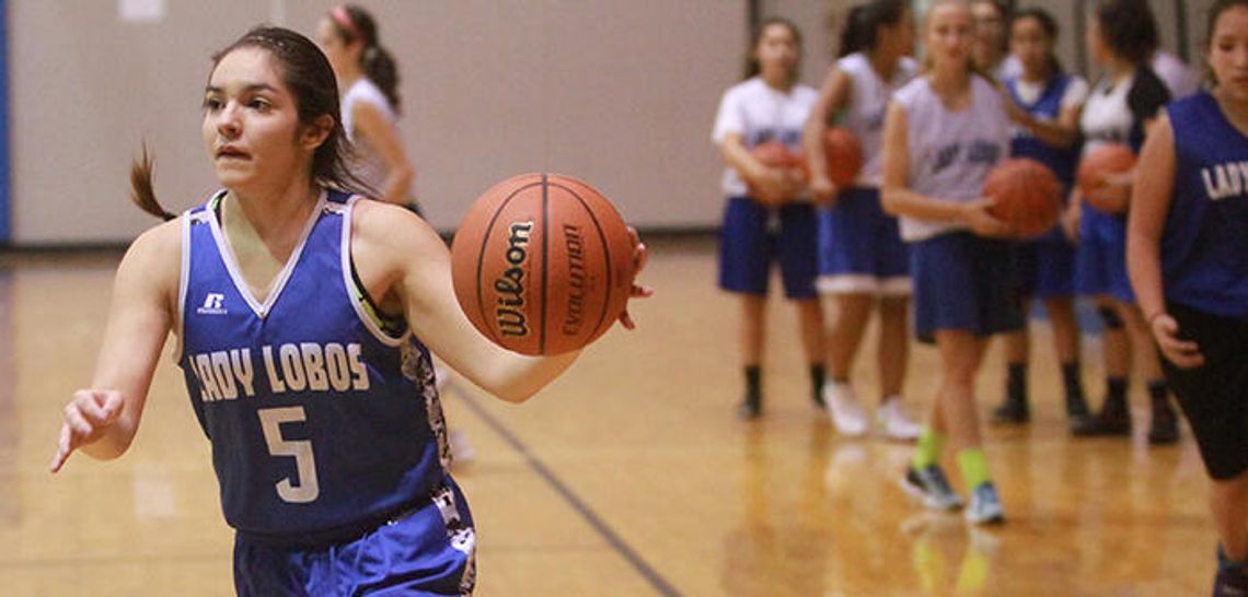 Familiarity to guide Lady Lobo hoops