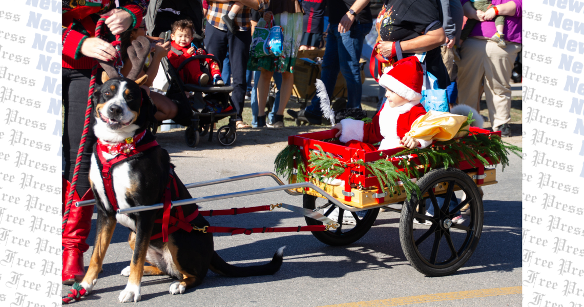 Festive dogs take to the street during Budafest’s Reindog Parade
