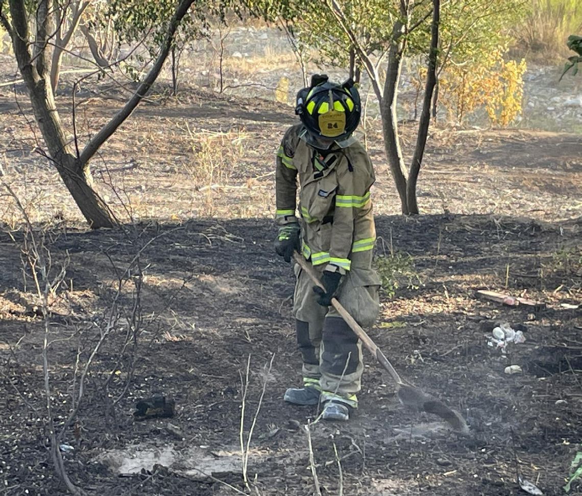 Gov. Greg Abbott issues disaster declaration for wildfire activity in 191 Texas counties Gov. Greg Abbott issues disaster declaration for wildfire activity in 191 Texas counties