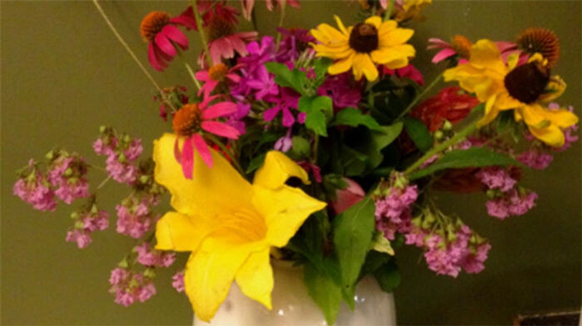 Growing a cut flower garden
