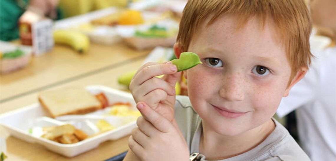 Have a heart: Poor diet, lack of exercise key to low heart health scores
