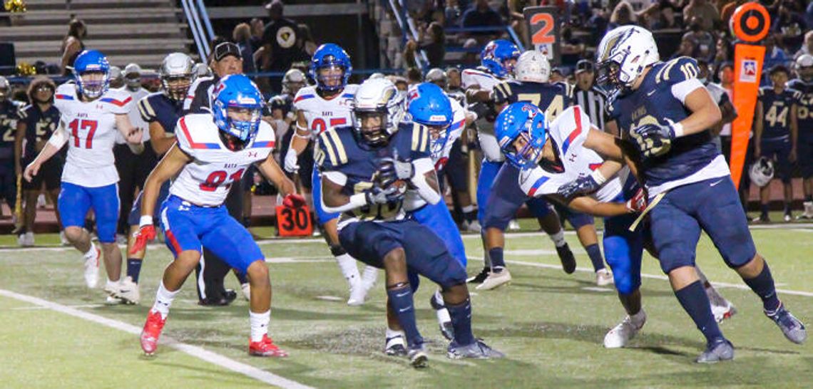 Hawks fall to Eagles