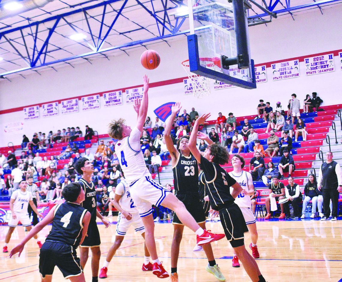 Hawks soar over Cougars