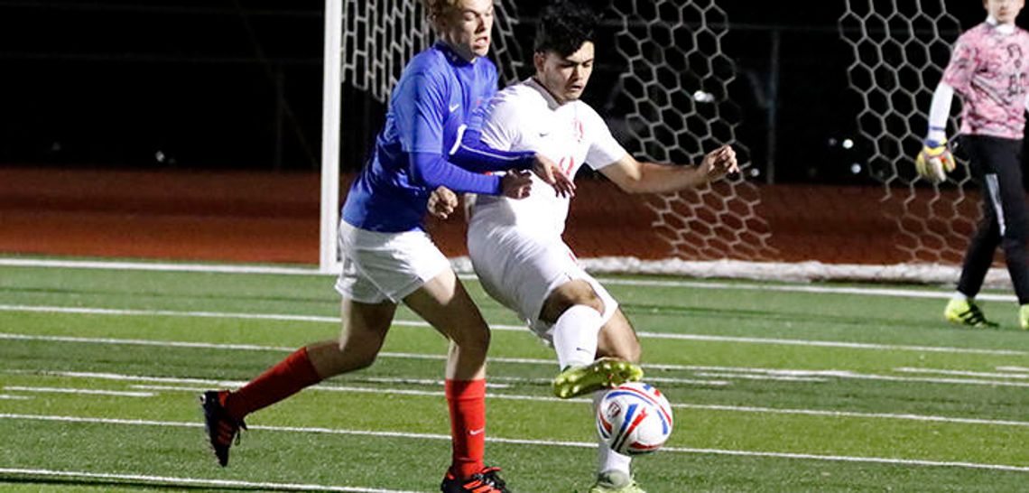 Hays boys soccer falls to Lions