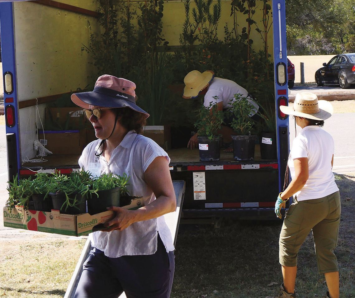 Hays County Master Gardeners to hold Spring Plant & Tree Sale Hays County Master Gardeners to hold Spring Plant & Tree Sale