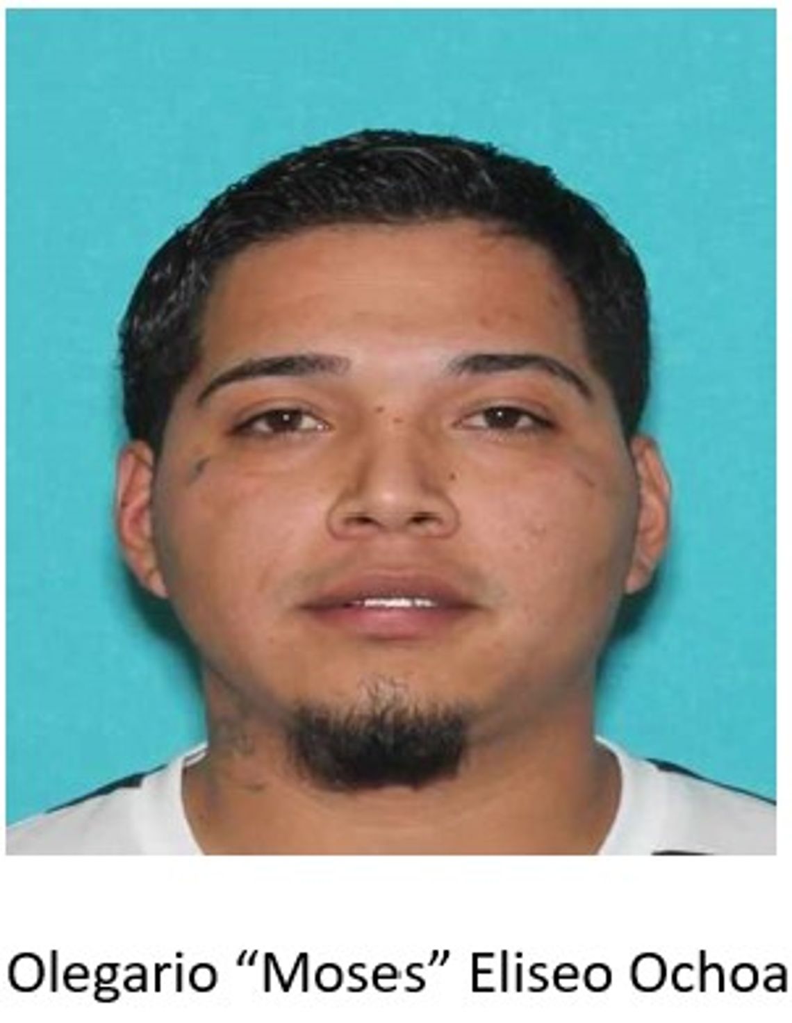 Hays County murder suspect apprehended