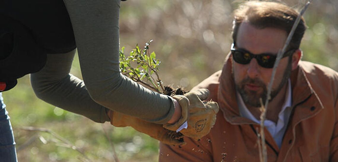 Hays County OKs Blanco reforestation by split vote