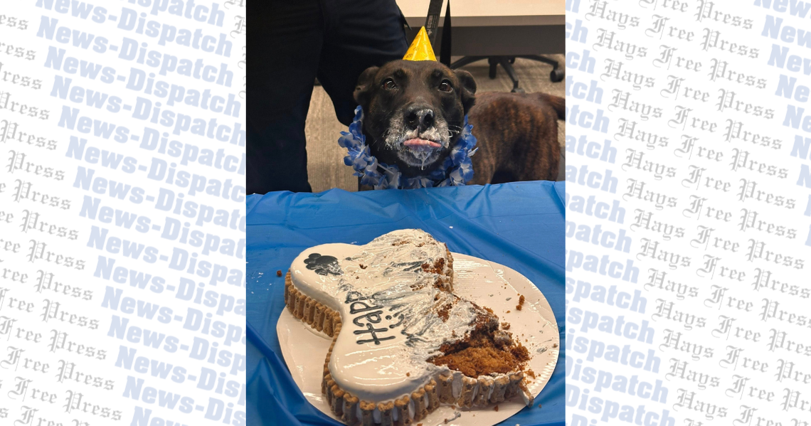 Hays County Sheriff's Office K9 'Buddy' celebrates retirement