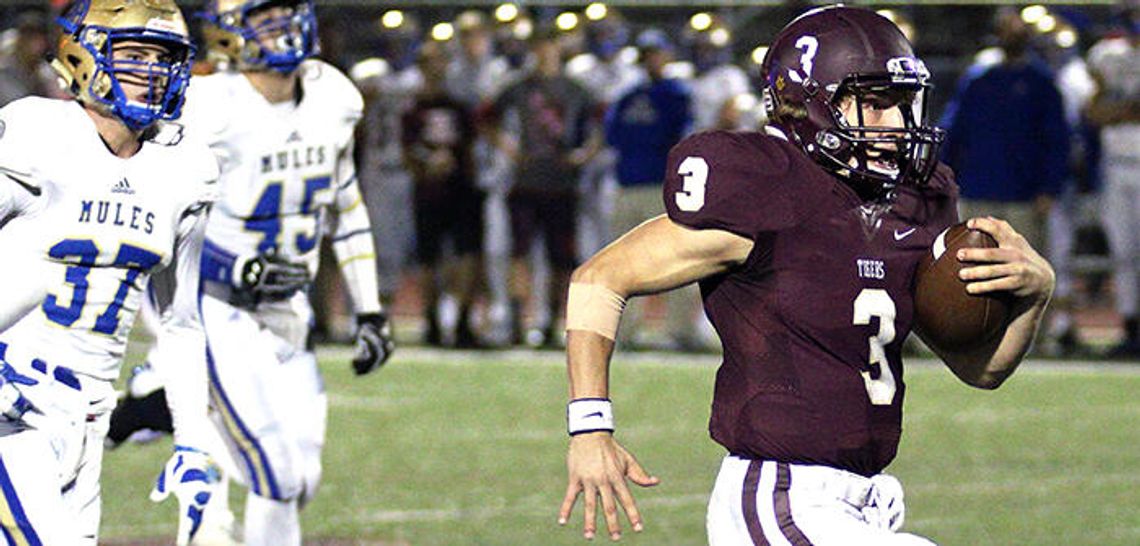 Hays Free Press/News-Dispatch Football Team 2016