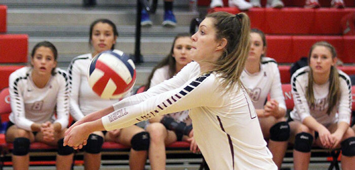 Hays Free Press/News-Dispatch Volleyball Team 2016