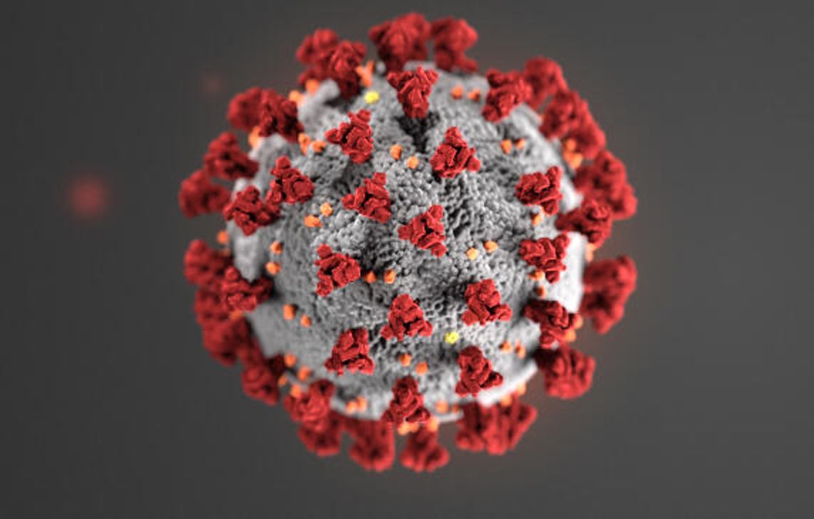 Hays to receive 1,950 Pfizer doses weekly