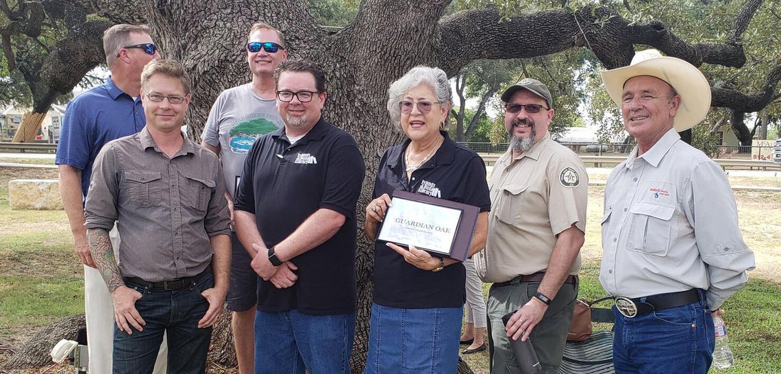 Historic oak gets new name