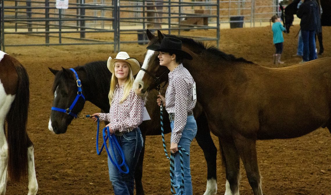 Horse Show winners named at Livestock Show